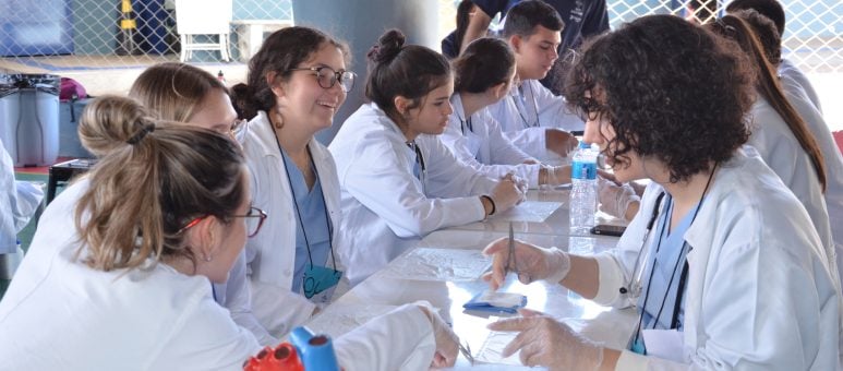 Med Anatomy o primeiro contato direto com a medicina