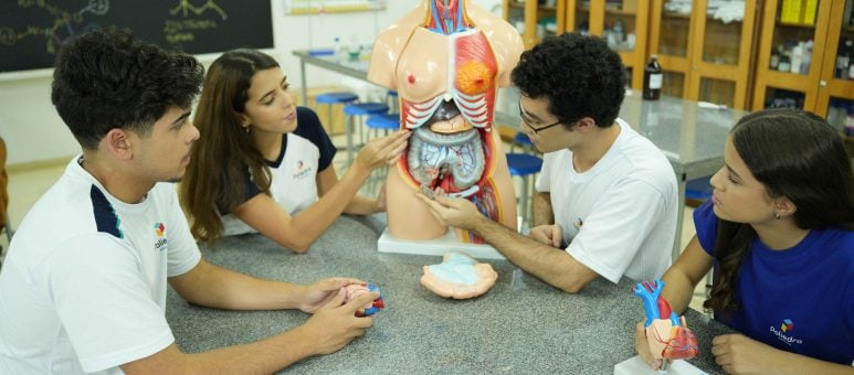 Como é o Novo Ensino Médio do Poliedro